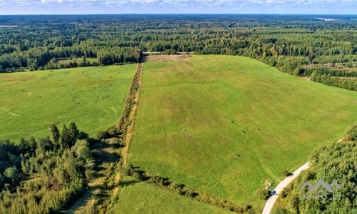 Plot in Rietavas Municipality