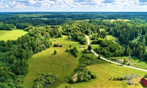 Homestead Within a National Park