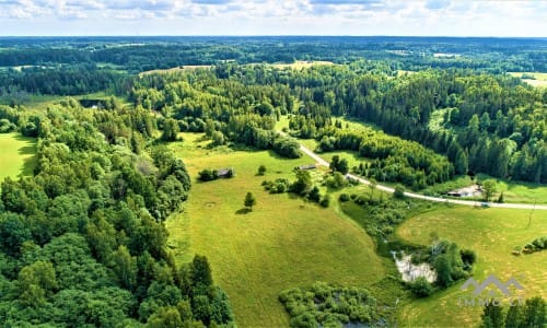 Homestead Within a National Park