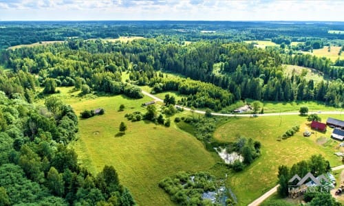 Homestead Within a National Park