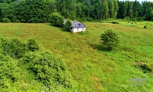 Homestead Within a National Park