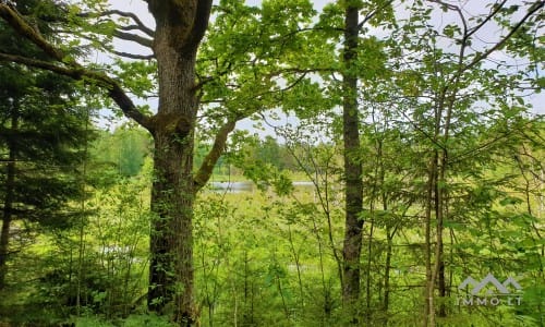 Ferme dans le parc national