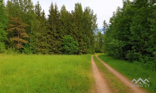 Homestead Within a National Park