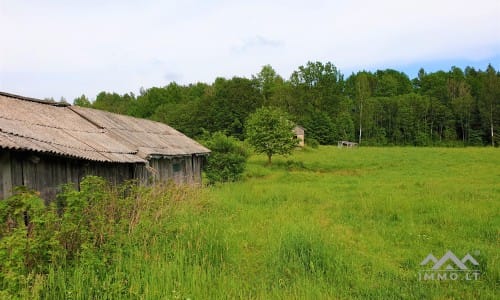 Homestead Within a National Park