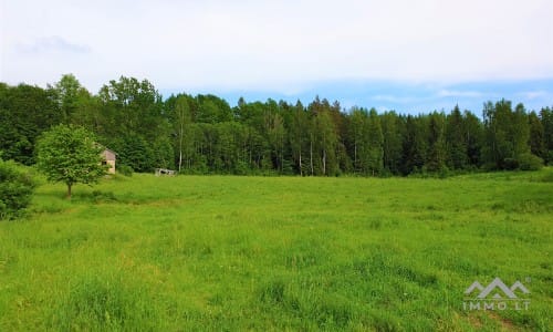Homestead Within a National Park