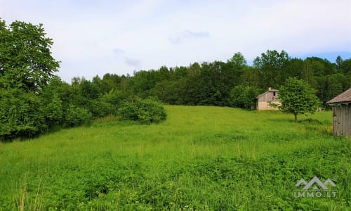 Homestead Within a National Park