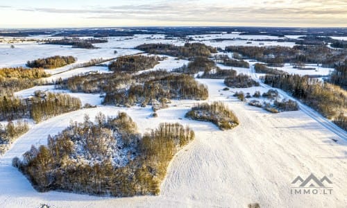 Ancienne ferme avec une forêt