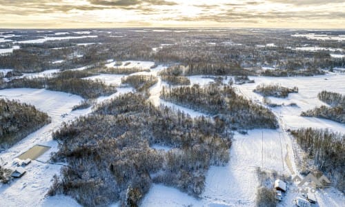 Ancienne ferme avec une forêt