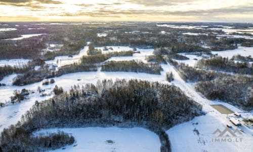 Ancienne ferme avec une forêt