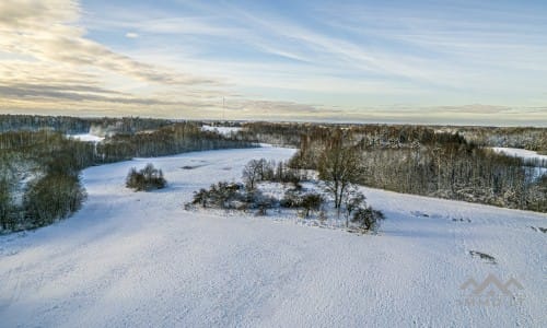 Ancienne ferme avec une forêt