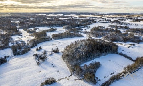 Ancienne ferme avec une forêt