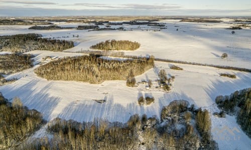 Ancienne ferme avec une forêt