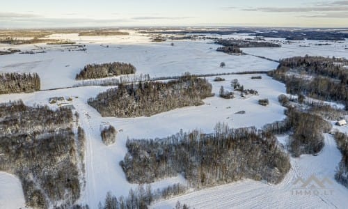 Ancienne ferme avec une forêt