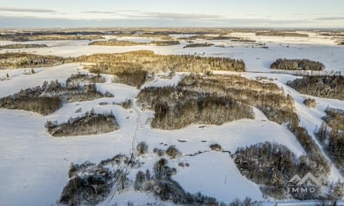 Ancienne ferme avec une forêt