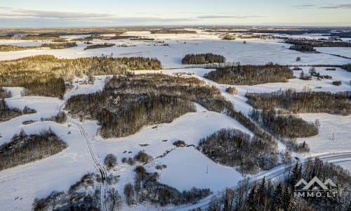 Ancienne ferme avec une forêt