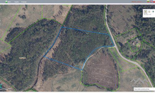 Land Plot With Forest