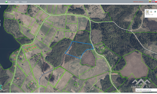 Land Plot With Forest