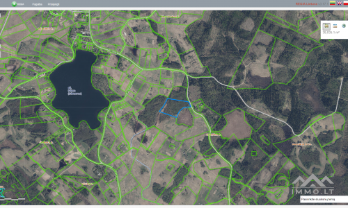 Land Plot With Forest