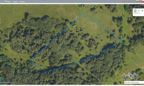 Plot with Forest for a Homestead
