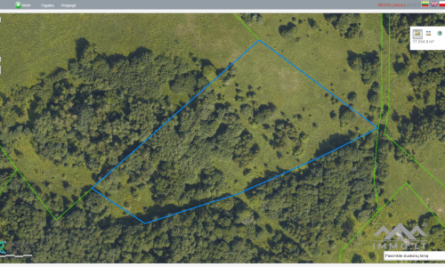 Land Plot With Forest