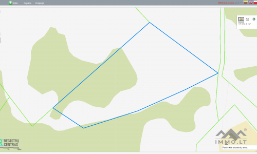 Land Plot With Forest