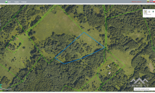 Land Plot With Forest