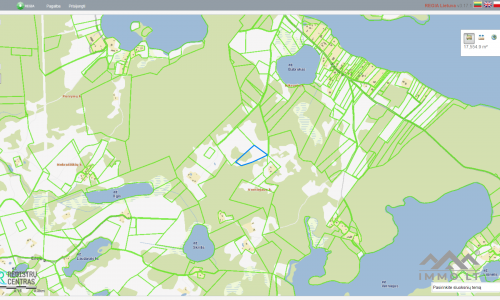 Land Plot With Forest