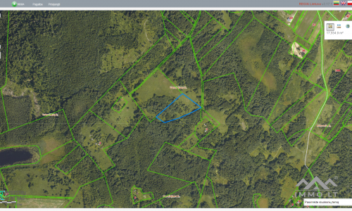 Land Plot With Forest