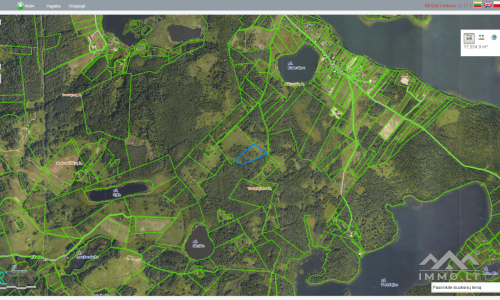 Terrain avec forêt