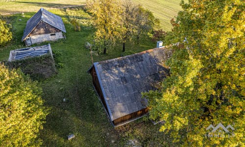 Homestead in Plungė District