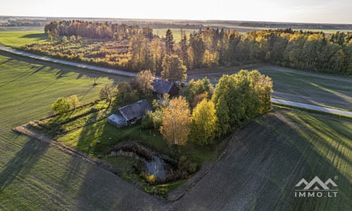 Gehöft im Bezirk Plungė