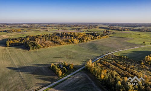 Homestead in Plungė District