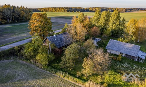 Gehöft im Bezirk Plungė