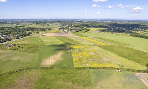 Investment Plot Near Šilutė