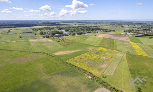 Investment Plot Near Šilutė