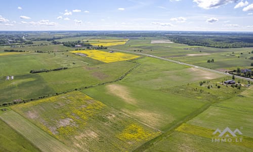 Investment Plot Near Šilutė