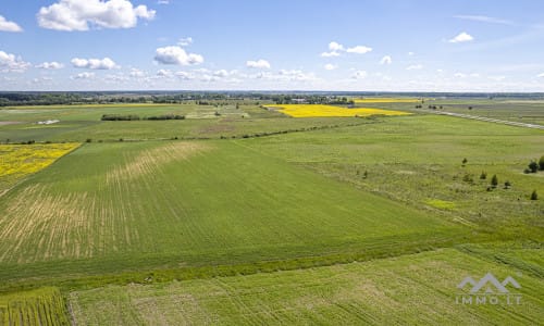 Investment Plot Near Šilutė