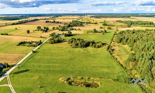 Terrain avec forêt