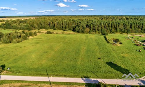 Terrain avec forêt