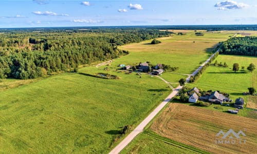 Terrain avec forêt