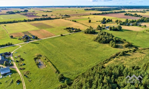 Terrain avec forêt