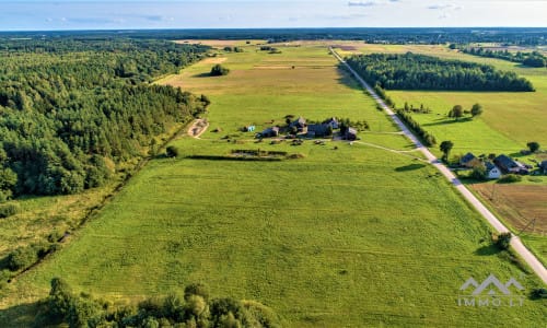 Terrain avec forêt