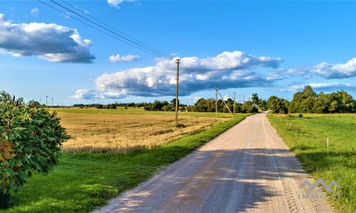 Žemės sklypas su mišku