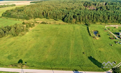 Terrain avec forêt