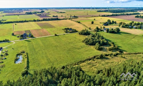 Terrain avec forêt