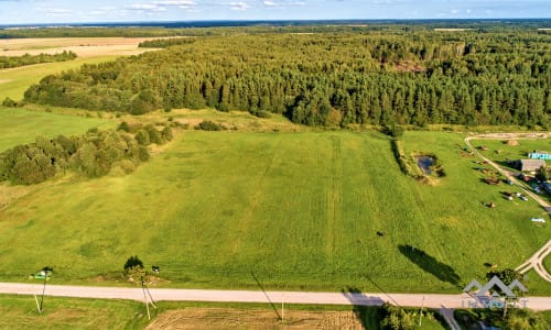 Terrain avec forêt