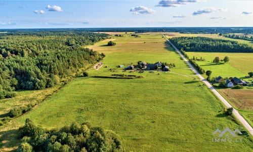 Terrain avec forêt