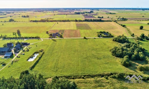 Land Plot With Forest