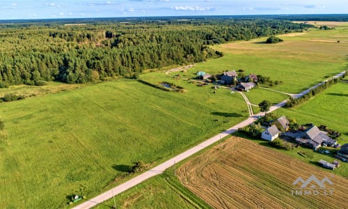 Terrain avec forêt