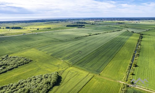 Bloc de terrain près de Palanga